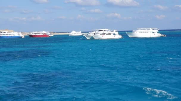 Luksusowe jachty na wodzie — Wideo stockowe