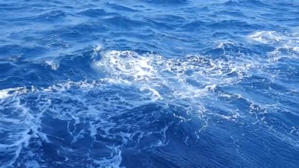 Onde blu dell'oceano — Video Stock