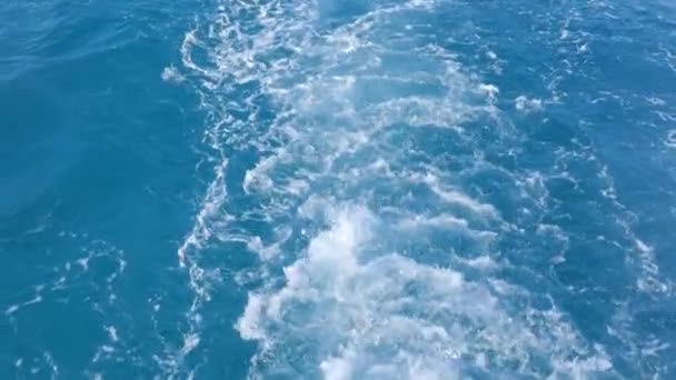 水面上马达发出的泡沫 — 图库视频影像