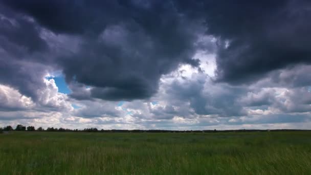 Grüne Wiese Und Wolkenverhangener Himmel — Stockvideo