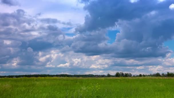 Зеленое Поле Облачное Небо — стоковое видео