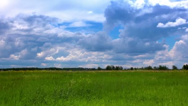 Зелене Поле Хмарне Небо — стокове відео