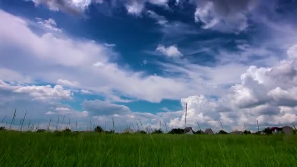 Campo Verde Cielo Nublado — Vídeo de stock
