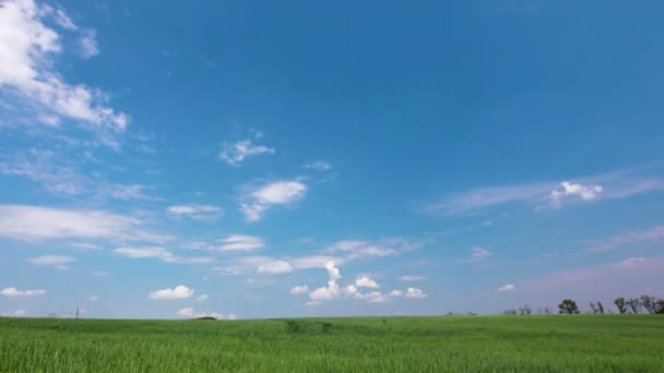 Champ vert et ciel nuageux 