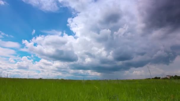 Grüne Wiese Und Wolkenverhangener Himmel — Stockvideo