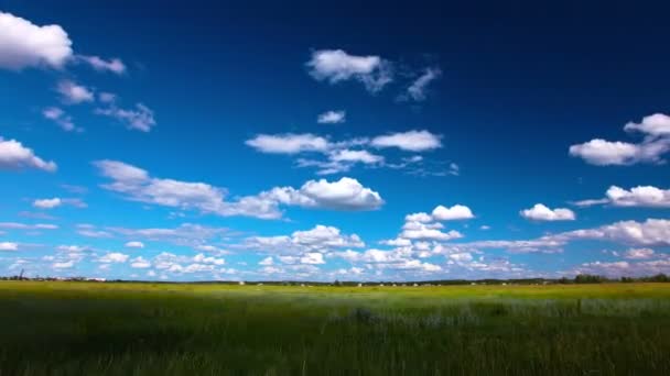 Зеленое Поле Облачное Небо — стоковое видео