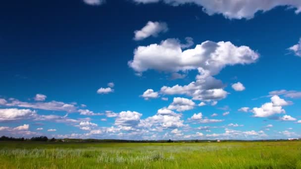 Green Field Cloudy Sky — Stock Video