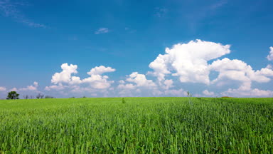 Yeşil Alan ve Bulutlu Gökyüzü