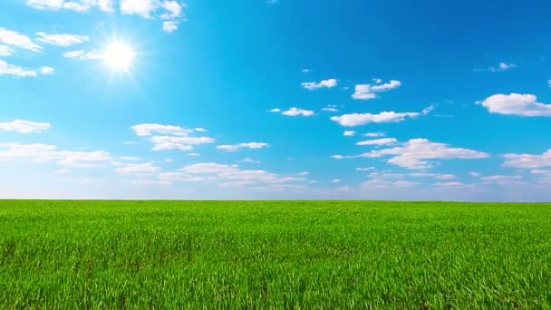 Campo Verde Cielo Nublado — Vídeo de stock