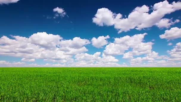 Grönt Fält Och Molnigt Himmel — Stockvideo