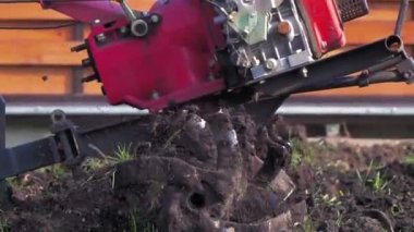 el ile Dünya'ya yavaş hareket çiftçilik