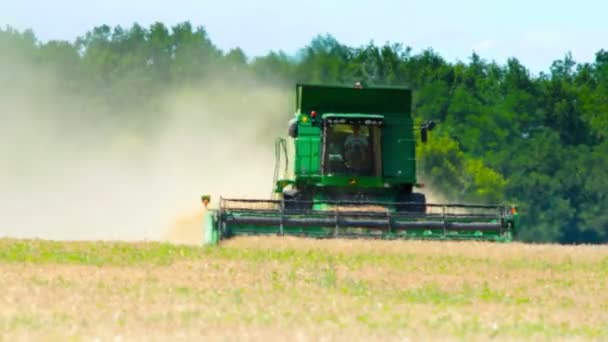 Γεωργία Και Harvester Καλοκαίρι — Αρχείο Βίντεο