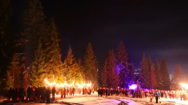 Firandet Det Nya Året Glänta Skogen — Stockvideo