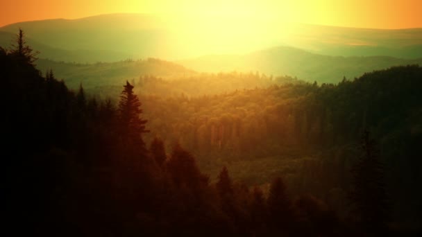 Amanecer Sobre Paisaje Forestal — Vídeos de Stock