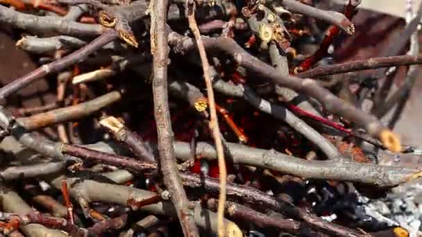 le feu. timelapse. temps 