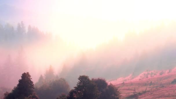 Paisaje Montaña Brumoso Naturaleza Nubes Niebla — Vídeos de Stock