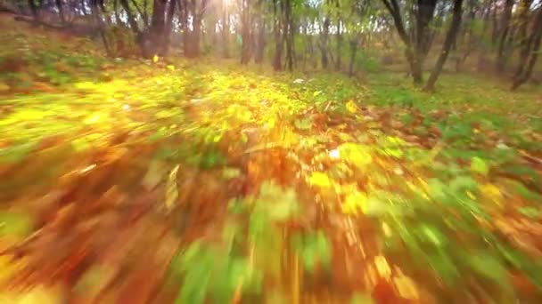 Gün Batımı Sonbahar Yaprakları Üzerinde Yürü — Stok video