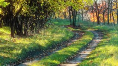 Sonbahar yolu. Günbatımının güneş ışıkları.