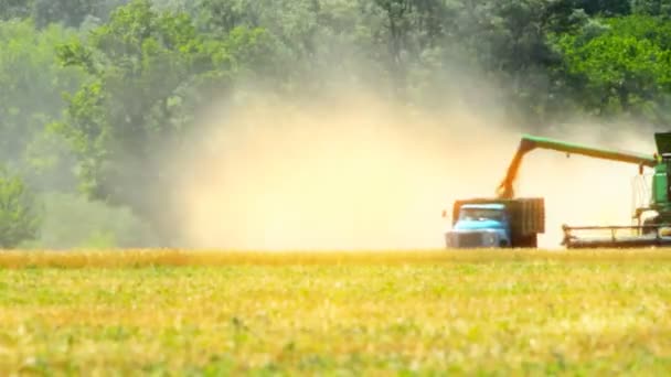 Agricultura Colheitadeira Prazo — Vídeo de Stock