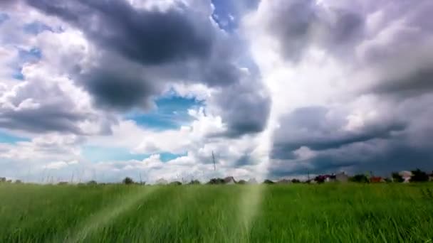 Grönt Fält Och Molnigt Himmel — Stockvideo