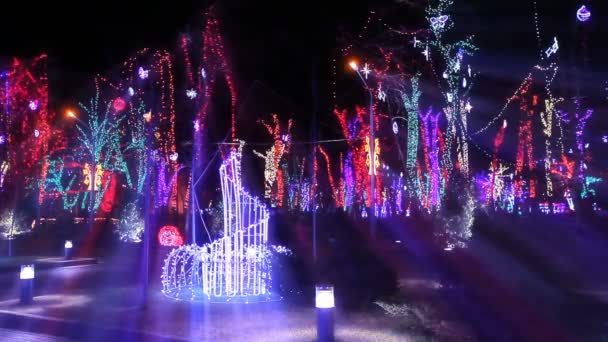 Rua Natal Ano Novo Câmera Lenta — Vídeo de Stock