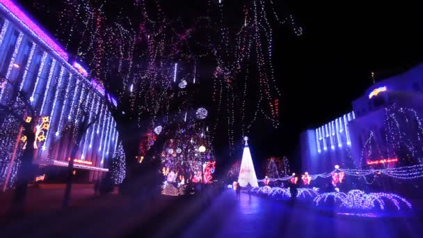 Rua Natal Ano Novo Câmera Lenta — Vídeo de Stock