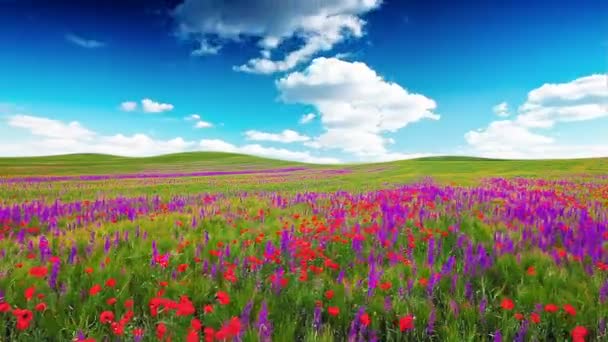 champ de fleurs et le ciel nuageux