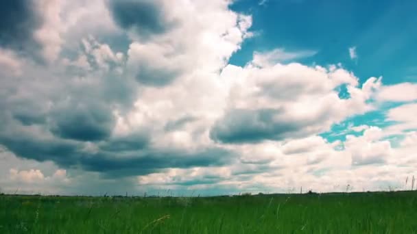 champ vert et ciel nuageux. 4K. PLEIN HD, 4096x2304 .