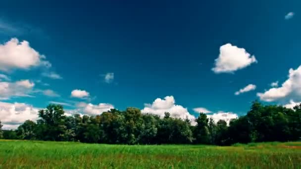 Зелене Поле Хмарне Небо Повний 4096X2304 — стокове відео