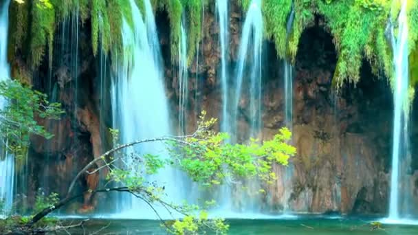 Cascata Nella Foresta Parco Nazionale Dei Laghi Plitvice Croazia — Video Stock
