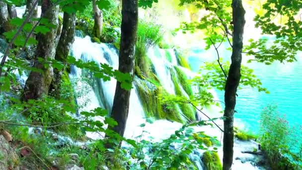 Waterfall Forest Plitvice Lakes National Park Croatia — Stock Video