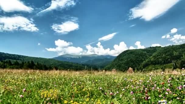 Summer Mountain Landscape Hdr — Stock Video