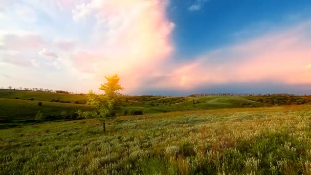 Grüne Wiese Frühling Und Bewölkter Himmel — Stockvideo