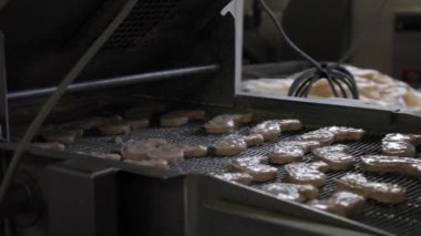 Konveyör Nuggets fabrikası