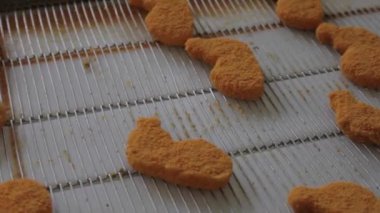 ulaşım Nuggets konveyör tarafından