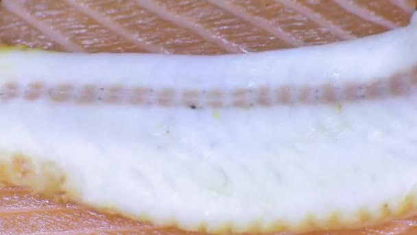 A piece of eel put on salmon — Stock Video