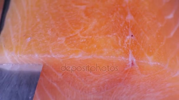 Salmón Refrigerado Picado Pescado Rojo — Vídeos de Stock
