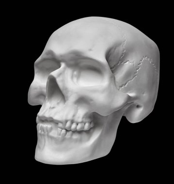 Siyah arkaplanda insan kafatası