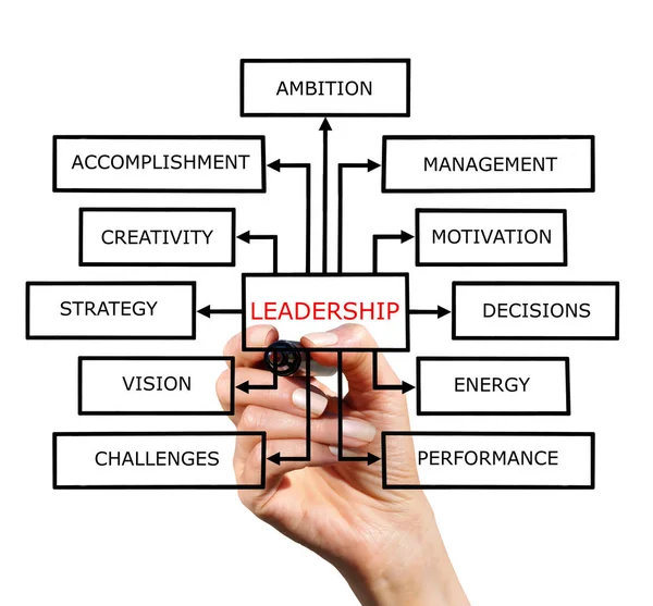 The scheme of leadership — Stock Photo, Image