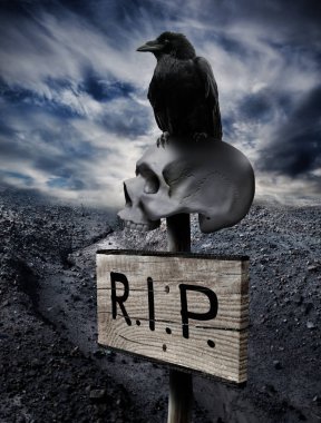 Siyah insan kafatasında kuzgun