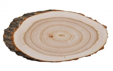 Ağaç gövdesi kesme son testere