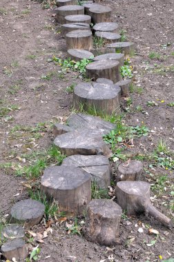 Spor yapmak ve hareketlerin koordinasyonunu geliştirmek için toprağa gömülü kenevirden yapılmış bir parça.