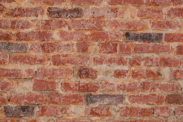 Wall brick texture Royalty Free Stock Photos