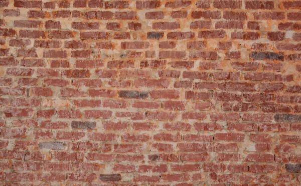 Wall brick texture Stock Image