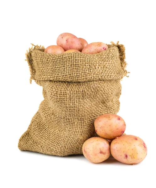 Ripe potatoes in burlap sack — Stock Photo, Image