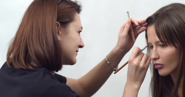 Artista de maquillaje profesional aplica maquillaje, sombra de ojos para las cejas marrones con un cepillo — Vídeos de Stock