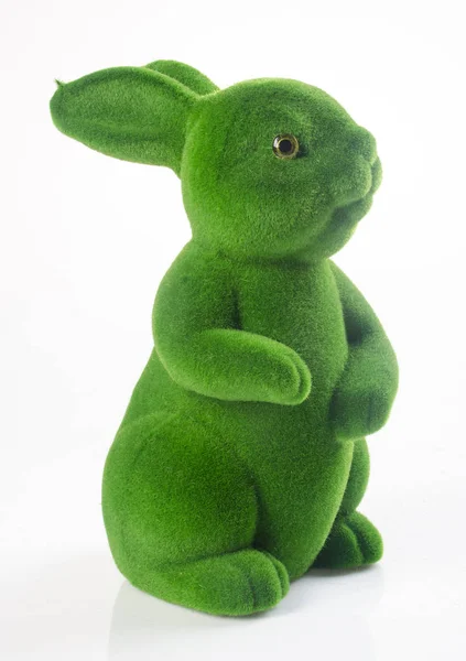 Králík nebo zelený králík na pozadí. — Stock fotografie