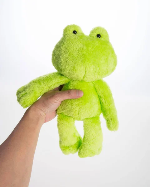 toy or frog soft toy on the background