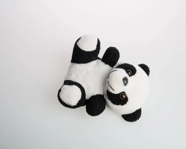 Leksak eller panda mjuk leksak på en bakgrund. — Stockfoto