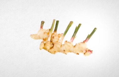 Zencefil veya bir arka plan üzerinde taze zencefil